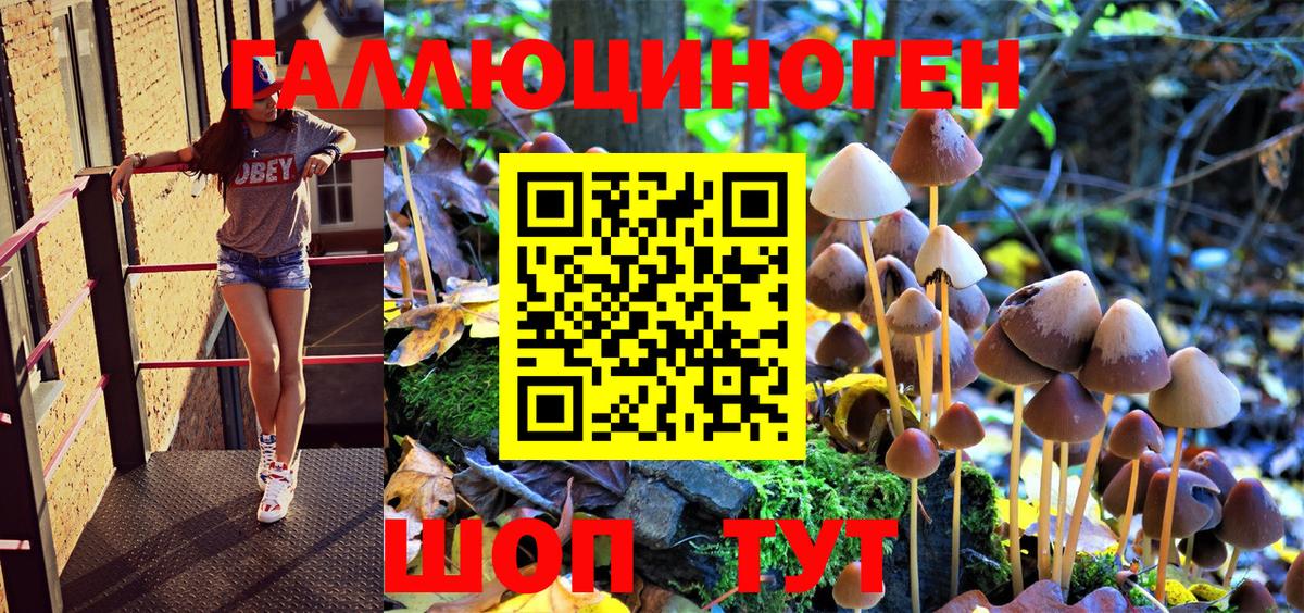 Псилоцибиновые грибы GOLDEN TEACHER Сарапул
